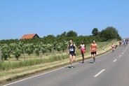 spitzenfeld vor plantage 21 kirschlauf theo willing - spitzenfeld-vor-plantage-21.-kirschlauf_theo-willing.jpg