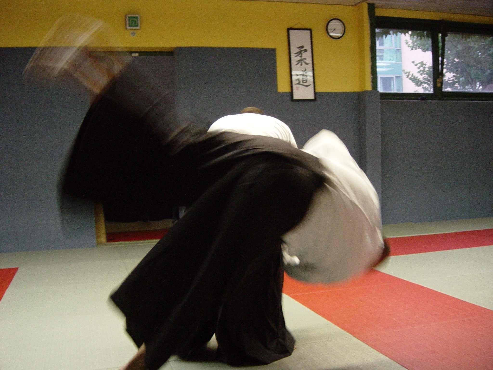 aikido - aikido-06.jpg