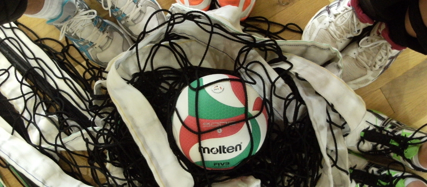 voba d - voba_d5.webp