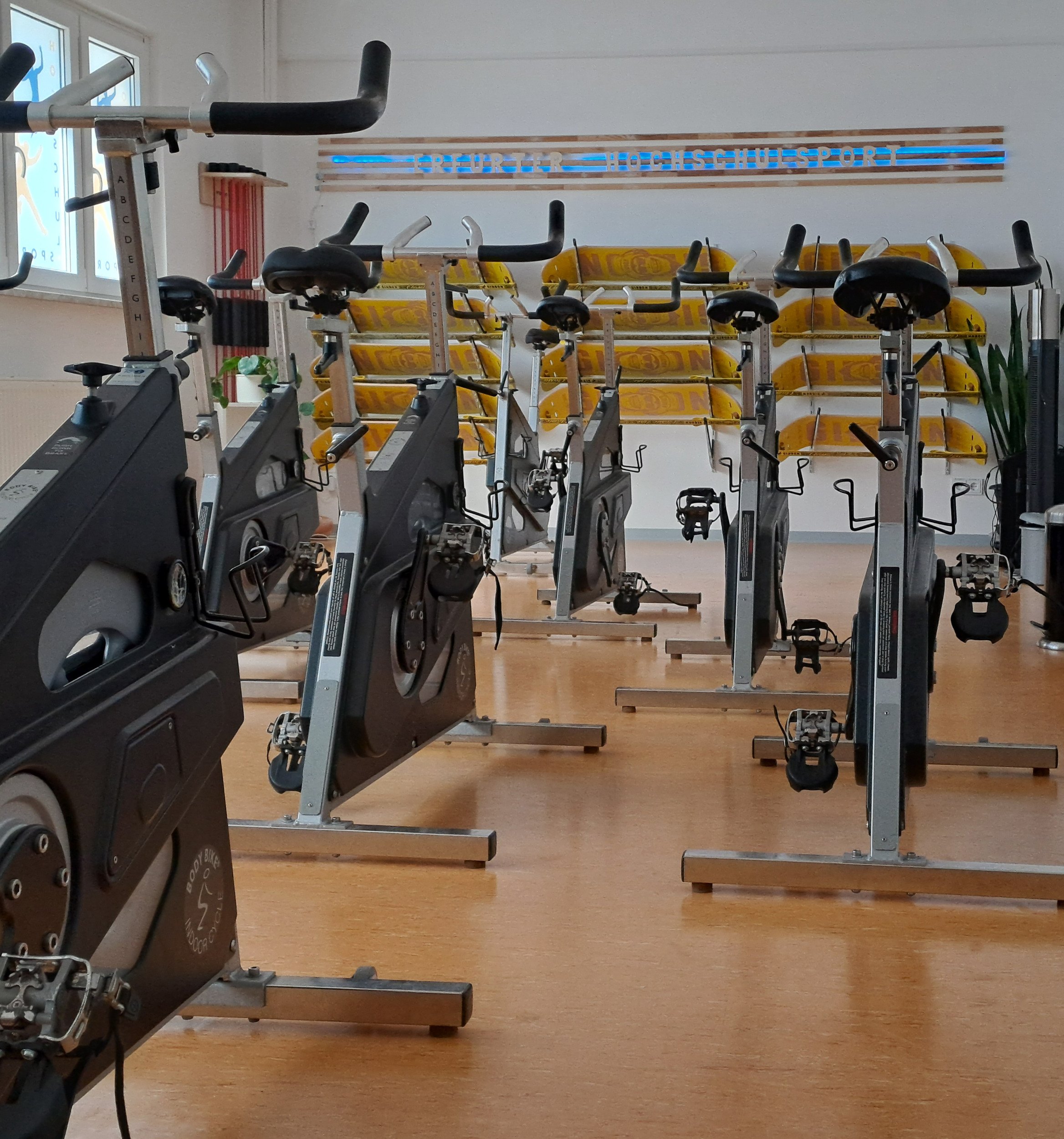 hss  spinning - hss-_-spinning.jpg