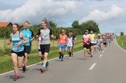 hauptfeld beim kirschlauf - 1-hauptfeld-beim-kirschlauf-2024.jpg
